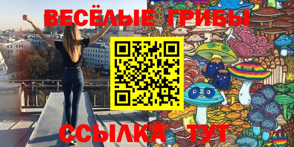 Янаул  Псилоцибиновые грибы GOLDEN TEACHER  Вход с VPN 